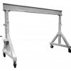 Stainless Steel Gantry Crane – Cleanroom